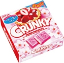 CRUNKY - BERRY & CHERRY TART