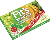 FIT'S MAGIQ - PINEAPPLE CHIP & MUSCAT GUM