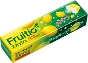 FRUITIO SQUASH - LEMON