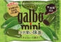 GALBO MINI MATCHA - POCKET BAG