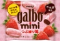 GALBO MINI STRAWBERRY - POCKET BAG