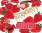 MEIJI - STRAWBERRY CHOCOLATE - BLOCKS